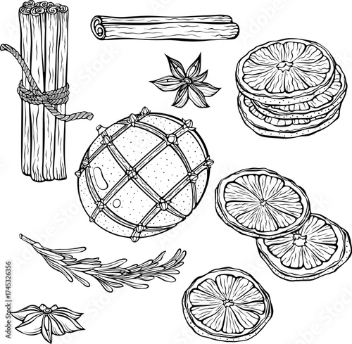 Set of Christmas spices cinnamon sticks, dried orange slices, clove decorated orange, star anise. For holiday recipes and decor. Vector illustration in hand drawn style. Line art isolated on white