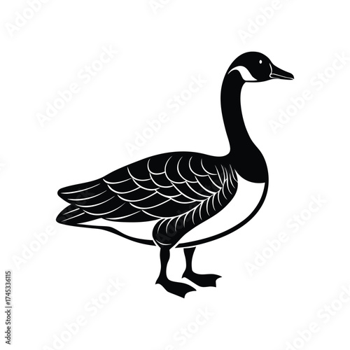 goose isolated on white background