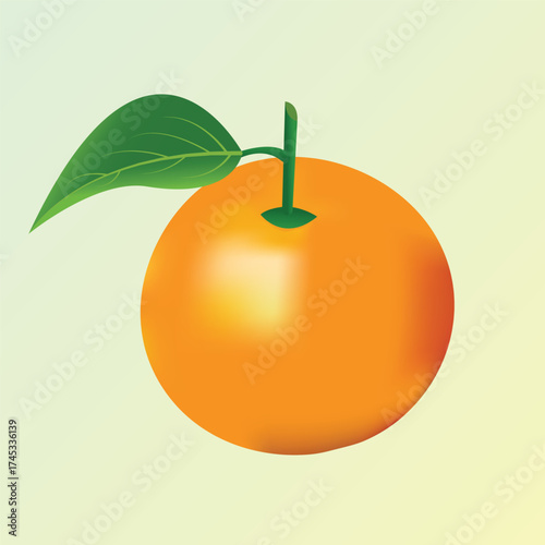 Realstic Orange vector illustration  