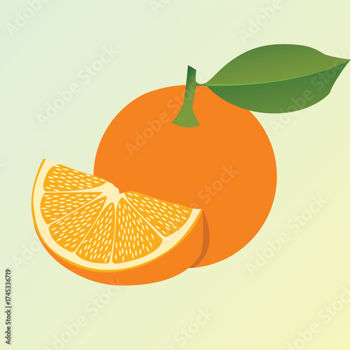 Realstic Orange vector illustration  