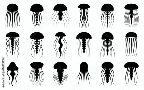 silhouettes of people