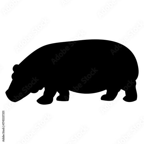 hippopotamus