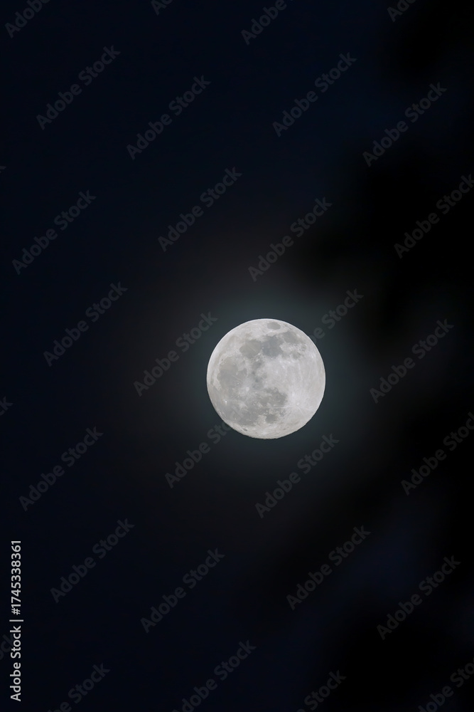 Fototapeta premium The full moon occurs on the full moon day, also known as the full moon day, when the moon is opposite the sun, making the full moon appear bright all night long.
