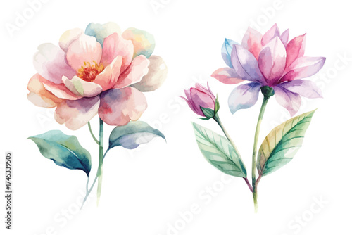 Minimal Botanical Watercolor Flowers Set 