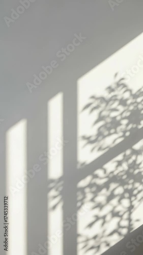 A serene and minimalist abstract background featuring dynamic shadows of sunlight filtering through a window. The gentle play of light casts intricate patterns of foliage from a tree and distinct wind