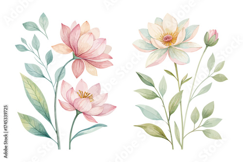 Minimal Botanical Watercolor Flowers Set isolated on white background