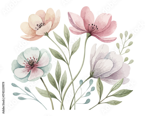 Minimal Botanical Watercolor Flowers Set isolated on white background