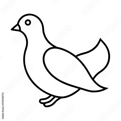 vector illustration of a dove