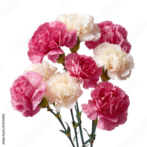A beautiful bouquet of pink and white carnations isolated on transparent background, showcasing their delicate petals and vibrant colors