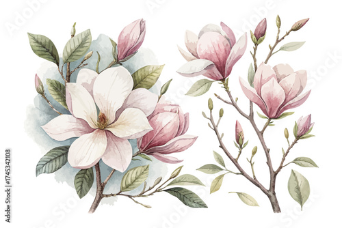Magnolia Flower Watercolor Set for Wedding Stationery vector illustration