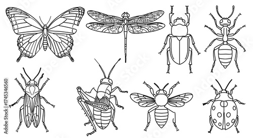 Collection of insect line art illustrations featuring butterfly, dragonfly, beetle, and ant