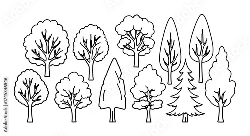 Various tree shapes, including deciduous and coniferous trees, in a simple line drawing style