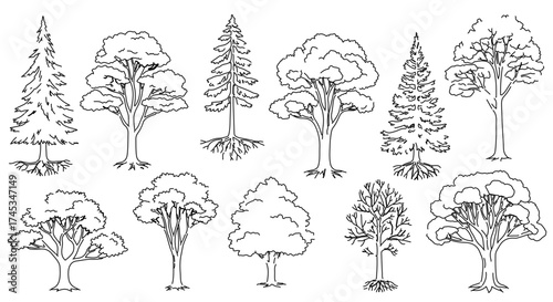 Set of line art trees, featuring various shapes and sizes of tree silhouettes