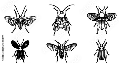 Six different insect illustrations in a vintage style design for print