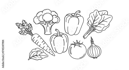 Hand drawn vegetables vector illustration, carrot, broccoli, pepper, tomato, onion
