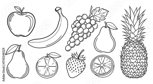 Collection of hand drawn fruit illustration featuring various types of fruit