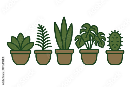 Collection of popular indoor houseplants including succulent, fern, snake plant, monstera, and cactus in brown pots