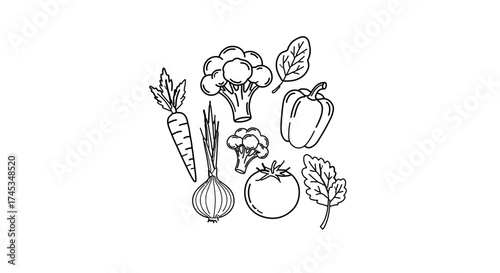 Hand drawn vegetables, including carrot, onion, tomato, pepper, broccoli, spinach