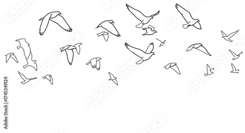 Flock of birds in flight, a serene and minimalist nature illustration