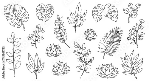 Collection of various leaves and plants in line art style for design and decoration