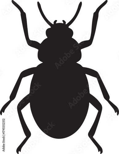 silhouette of black beetle isolated on white background