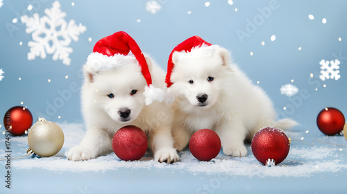 Christmas Puppies: White Pomeranian Spitz Wearing Santa Hats—Adorable Fluffy Tiny Canines with Festive Red Headgear, Perfect for Christmas Photos, Holiday Decor Accents & Cozy Winter Cheer