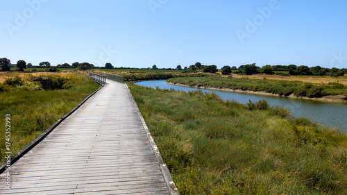 boardwalk wooden pontoon above a marsh by the ocean at la tranche sur mer in vendee france in the field