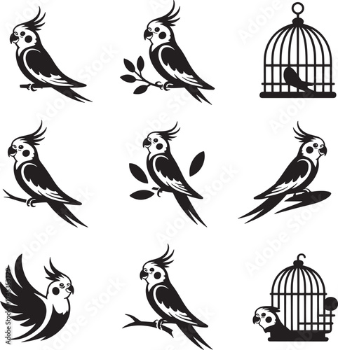 Black and white cockatiels in various poses and cages bird parrot