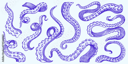 Octopus tentacles. Engraved hand drawn in old sketch, vintage creature. Nautical or marine, monster. Animal in the ocean. Template for logos, labels and emblems.