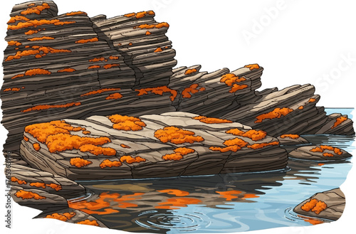 Rocky Shoreline with Orange Moss