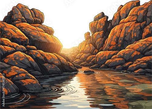 Rocky Shoreline with Orange Moss