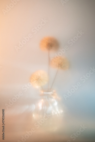 Dandelions displaying their delicate, fluffy seed heads standing in a glass vase, creating a dreamy, magical atmosphere with soft focus and glowing bokeh light