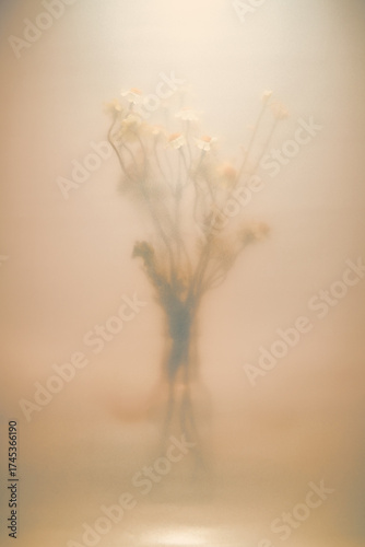 Chamomile flowers softly blurring in a glass vase, creating a dreamy, ethereal, and melancholic still life, evoking forgotten memories and passing time