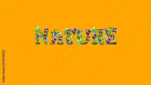 Word Nature Decoration Decorative Elements