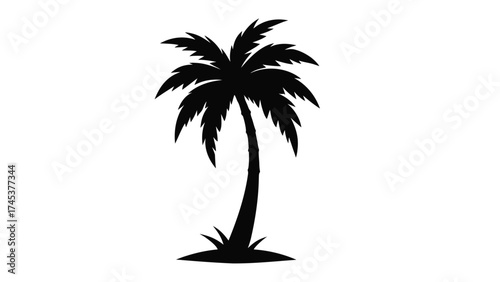 Silhouette of a single tall palm tree with green foliage against a white background suggesting a tropical island or beach destination