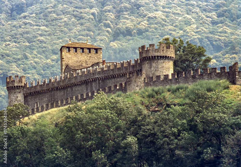 Fototapeta premium Bellinzona, Canton Ticino, Switzerland