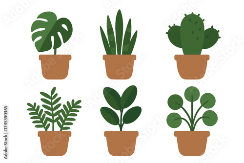 Assortment of trendy potted tropical houseplants and succulents for interior design
