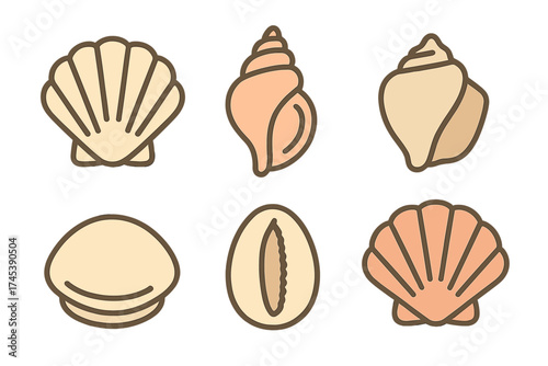Assortment of decorative marine shells including scallop and spiral conch shapes for beach themes