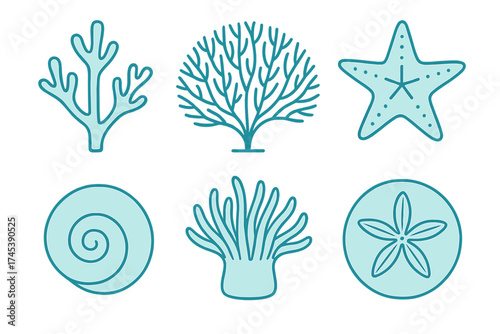 Six turquoise marine life icons: coral, starfish, sea anemone, sand dollar