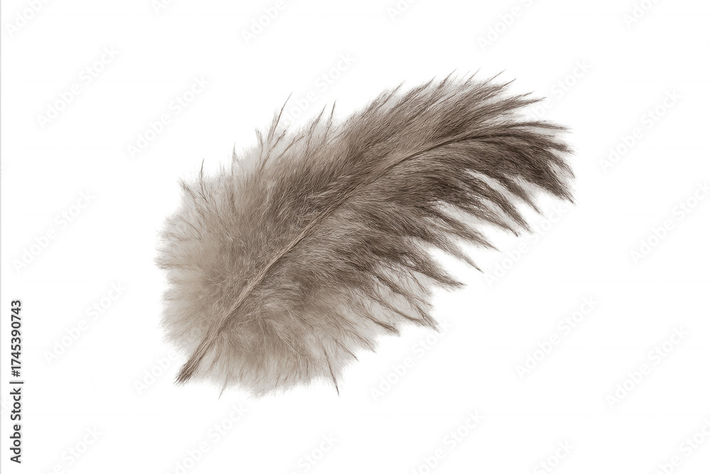 Obraz premium Soft brown light feather creating a gentle feeling of freedom, floating, and lightness on a transparent background