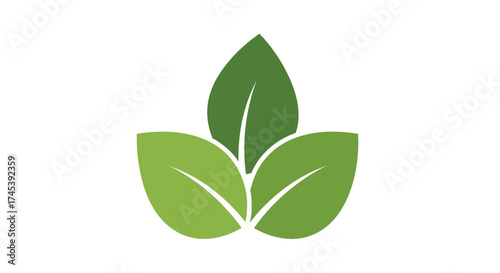 Illustration of three green leaves arranged in a cluster, symbolizing nature and growth.