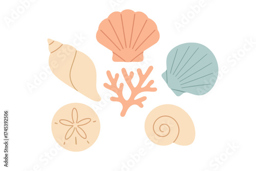 Stylized arrangement of conch shells, scallop shells, sand dollar, and branching coral