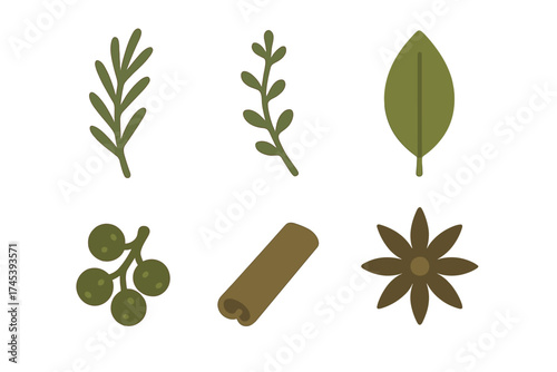 Stylized collection of culinary herbs and spices including rosemary, cinnamon, and star anise