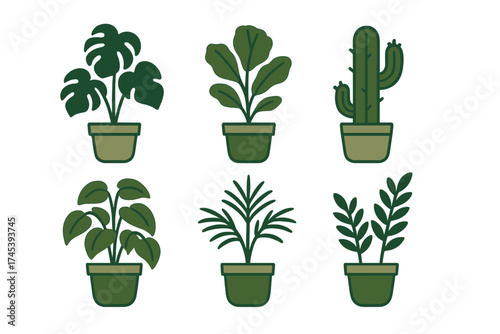 Collection of six different potted indoor plants featuring tropical and desert varieties