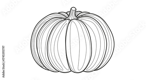 A detailed black and white illustration of a ripe, round pumpkin with defined ridges.