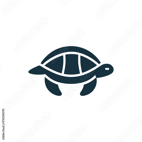 Stylized turtle illustration on a white background, suitable for educational materials or design