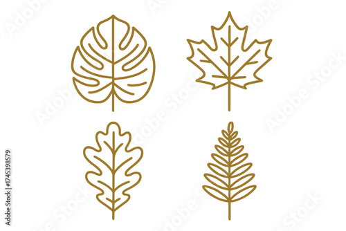 Collection of diverse natural leaves including tropical, maple, oak, and fern shapes