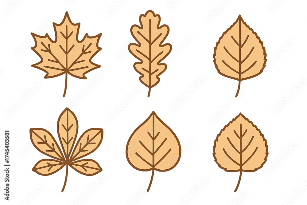 Fototapeta premium Set of various autumn tree leaves: maple, oak, and chestnut in simple flat style