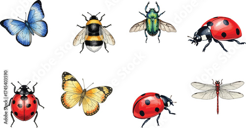 Collection of Colorful Insects on White Background
