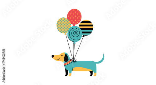 Cute dachshund dog holding colorful balloons in the sky.